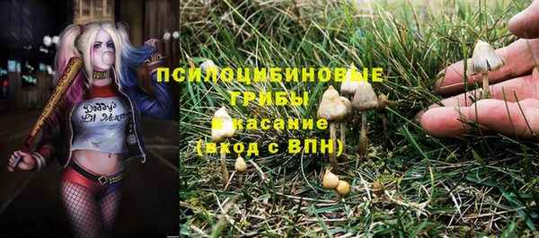 трава Алзамай