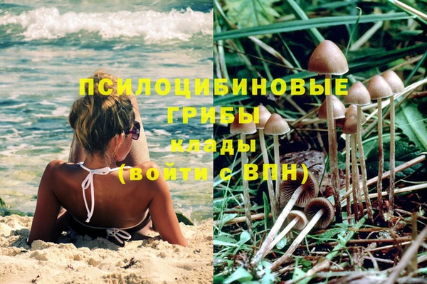 МДПВ Алексеевка